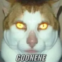 Sigma Cat