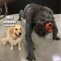 Two dog meme