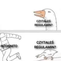 Goose Chase