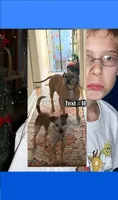 christmasgrump