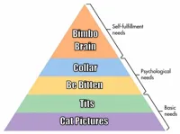 Maslow's Hierarchy of Needs