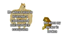 Doge before after