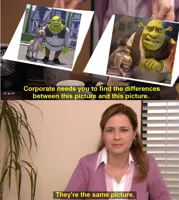 it's the same picture