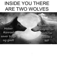 Inside you there are two wolves