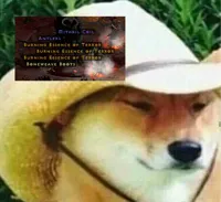 what in tarnation