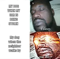 Sleeping Shaq
