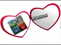 My beloved 