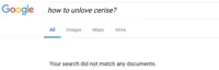 Google No Results