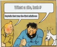 Tintin and Haddock