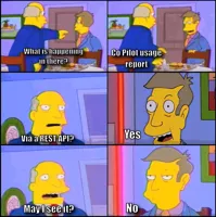 aurora borealis
