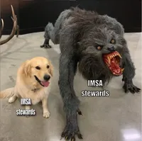Two dog meme