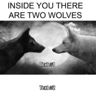 Inside you there are two wolves