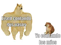 Big dog small dog