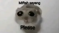 Sad Hamster / Hamster With Big Eyes / Crying Hamster