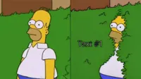 homer simpson
