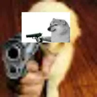 Dog gun