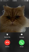 is calling you
