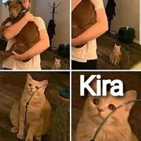 It hurts in my meow