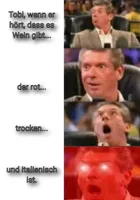 Mr. McMahon reaction