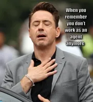 robert downey jr