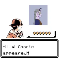 Blank Wild Pokemon Appears