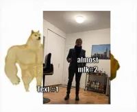 Two dogs
