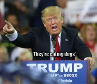 they're eating the dogs
