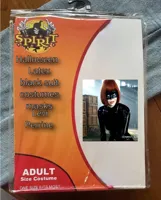 Spirit Halloween Costume