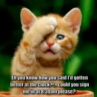 forgot cat