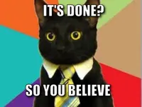 Cat Tie