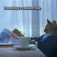 Cat reading the paper