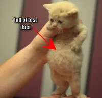 Cat full of soup