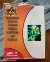 Spirit Halloween Costume