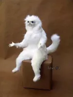White Cat What