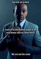 Gus Fring we are not the same