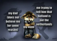 wolf parents fighting