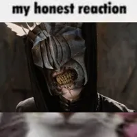 My Honest Reaction