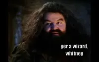 hagrid yer a wizard