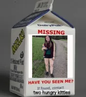 Milk carton