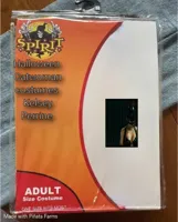 Spirit Halloween Costume