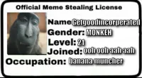 Meme Stealing License