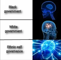 galaxy brain