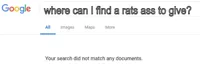 Google No Results