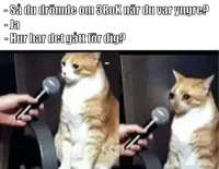 Crying Cat Interview Horizontal