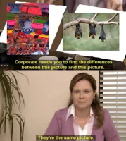 Corporate needs you to find the differences