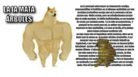 Chad doge