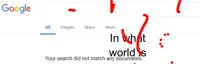 Google No Results