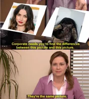 They're The Same Picture
