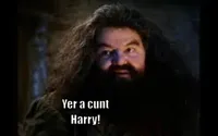 hagrid yer a wizard