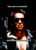 terminator arnold schwarzenegger